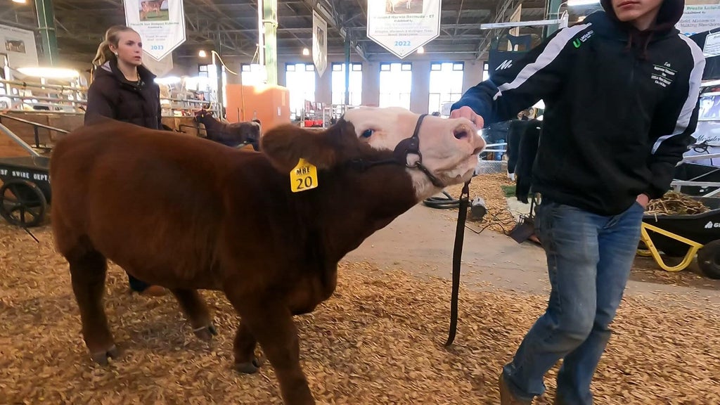 Spotlight on beef as Minnesota midterms near — WCCO / CBS Minnesota, Eden Prairie Community news