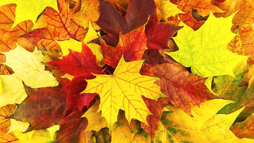 Cooler, quieter fall weather returns Tuesday in the Twin Cities — WCCO / CBS Minnesota, Eden Prairie Community news
