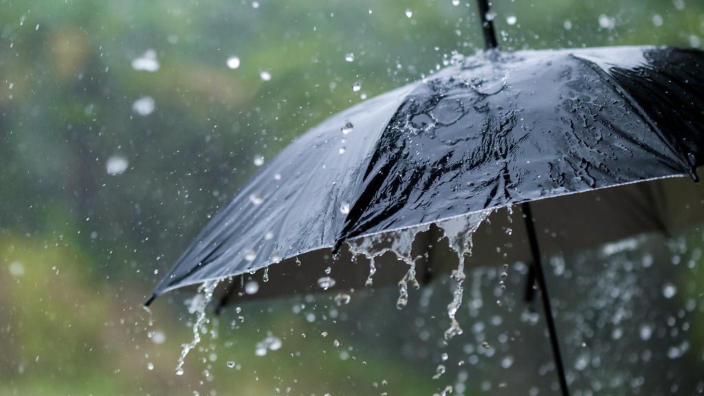 Widespread rain in Minnesota Monday; milder air returns Tuesday — WCCO / CBS Minnesota, Eden Prairie Community news