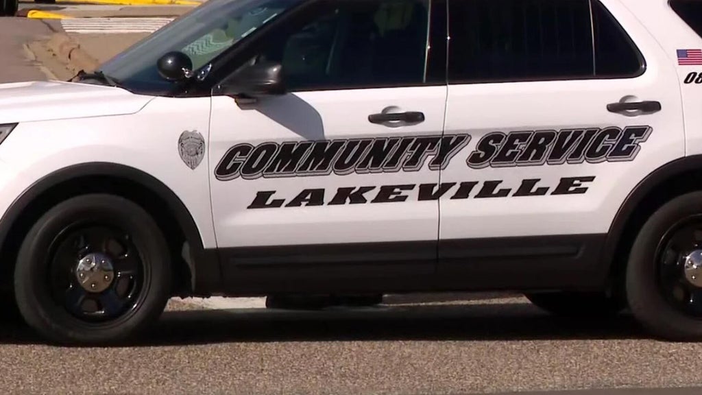 Lakeville man convicted of murdering sister, her unborn child in 2024 — WCCO / CBS Minnesota, Eden Prairie Community news