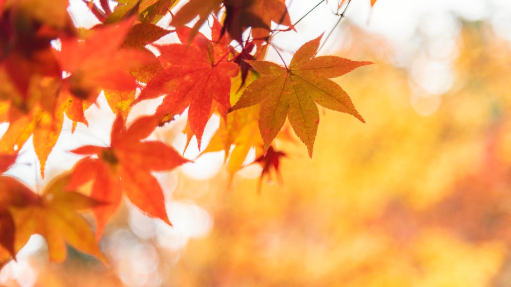 More sunny, mild late October weather in Minnesota Tuesday — WCCO / CBS Minnesota, Eden Prairie Business news