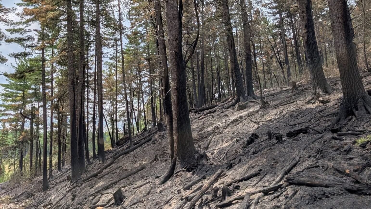 74-year-old who became separated from his family on a trail in Ely was discovered dead — KSTP 5, Eden Prairie Community news