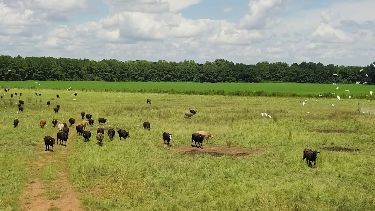 5 ON YOUR SIDE: Regenerative agriculture — Eden Prairie Health news