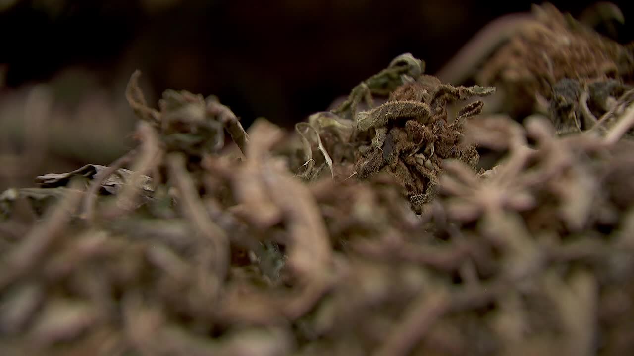 Hemp THC deadline hits $200 million industry, leads to layoffs, but liquor stores may maintain — FOX 9, Eden Prairie Business news