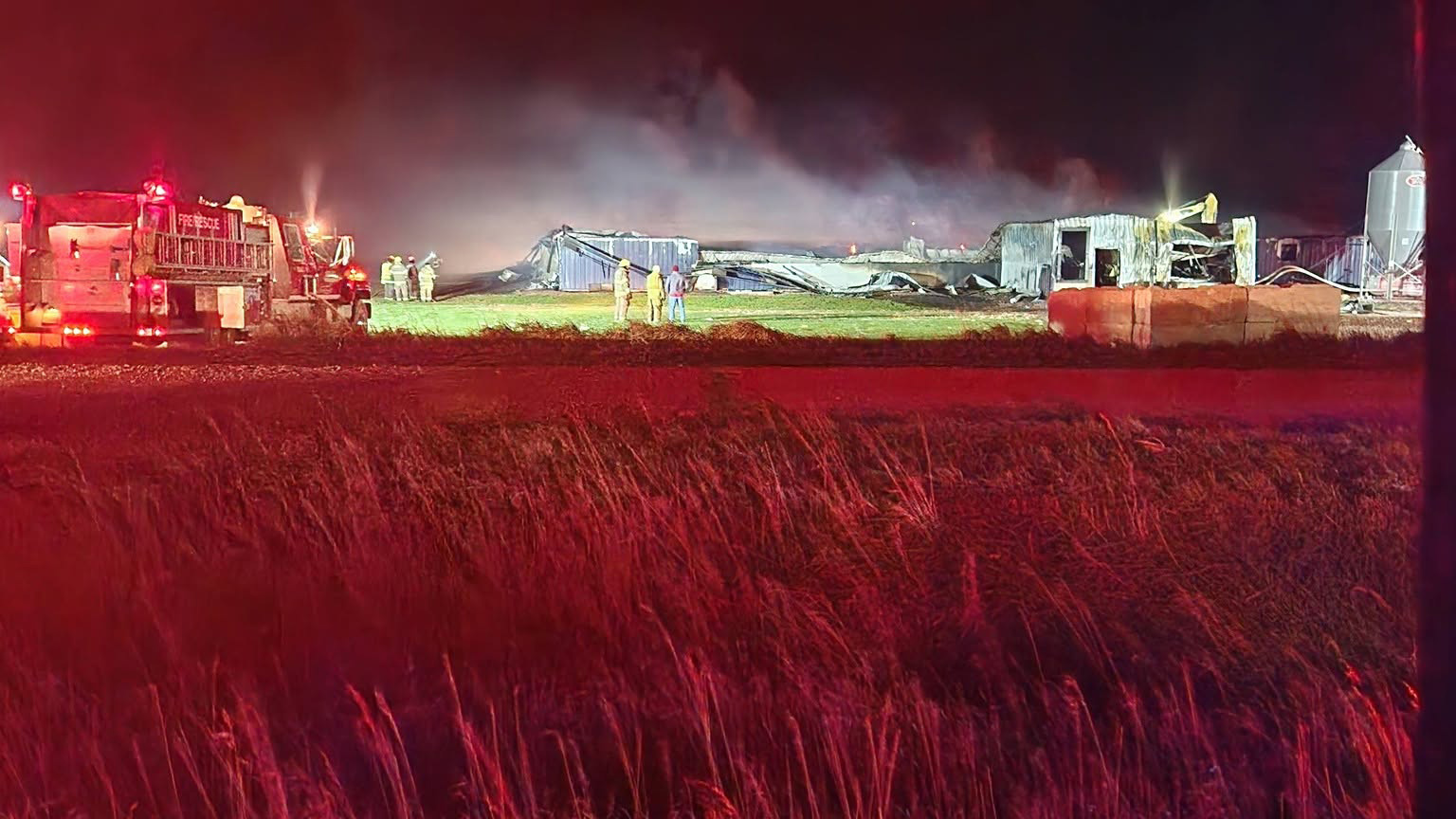 2,400 hogs die in Iowa barn fire — FOX 9, Eden Prairie Community news