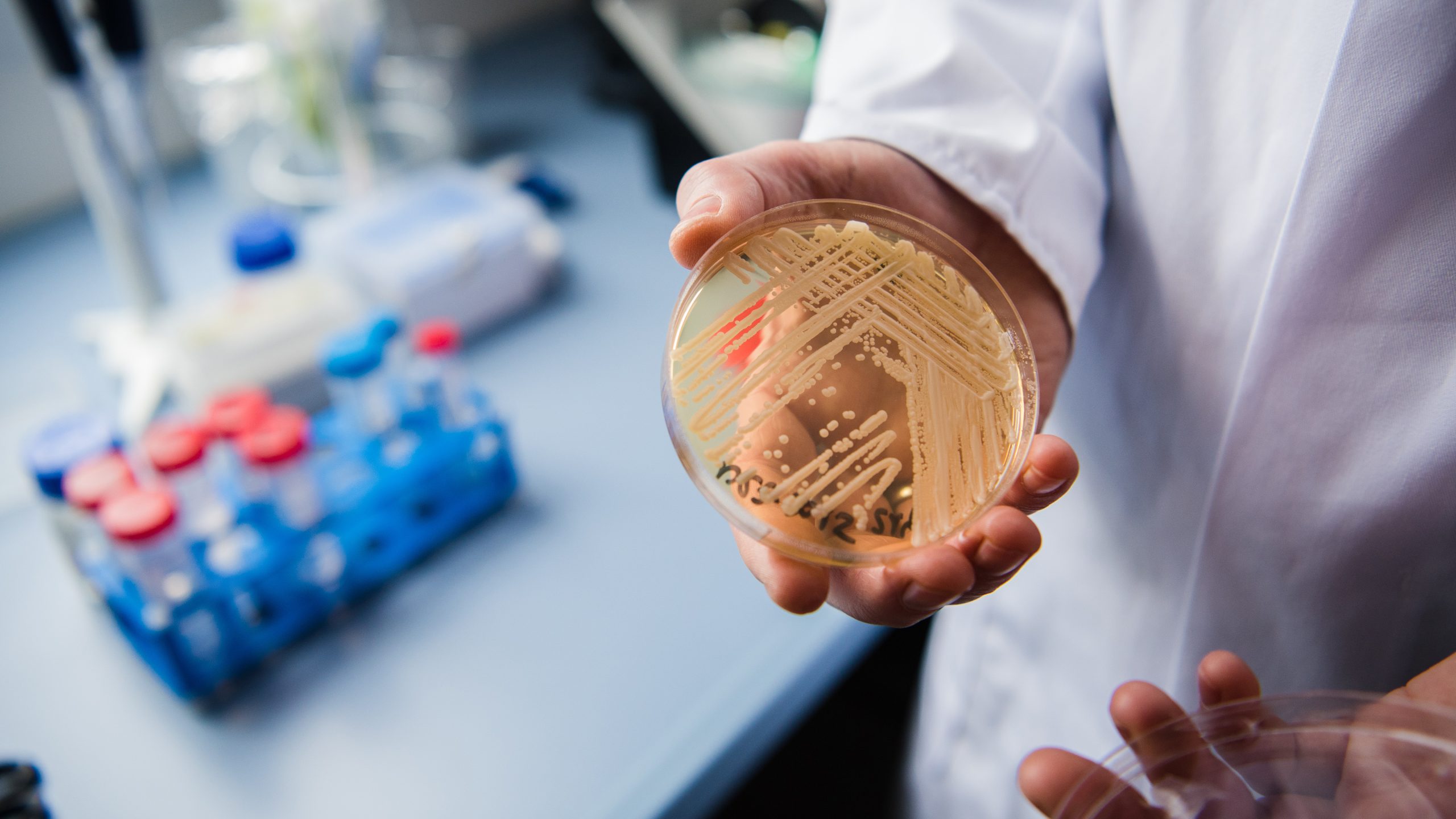 New study reveals why dangerous fungus is so difficult to treat — FOX 9