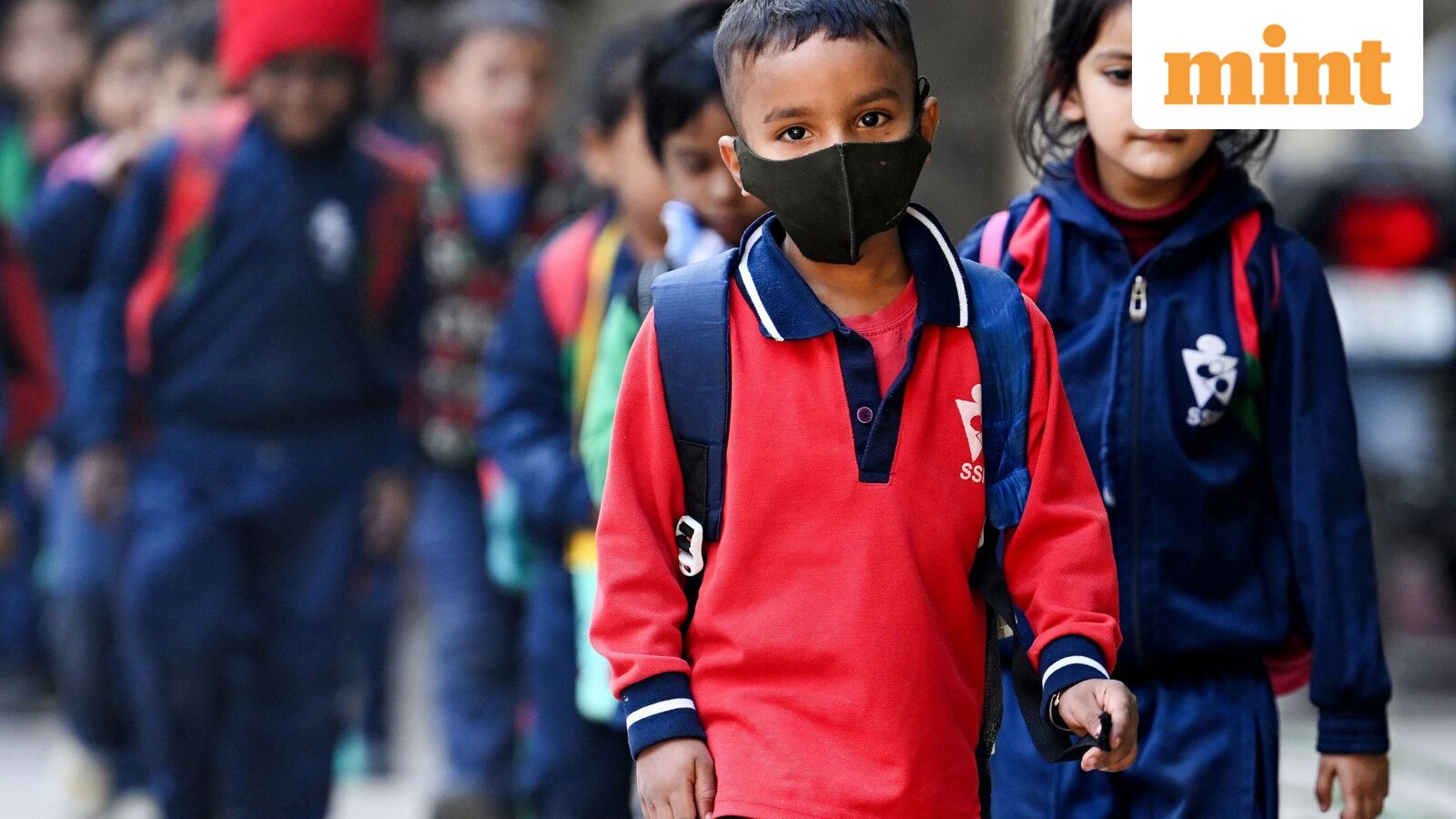 Chennai school holiday, Oct 21: Schools shut in four Tamil Nadu districts as heavy rains predicted | Check IMD alert — Mint India, Eden Prairie Schools news